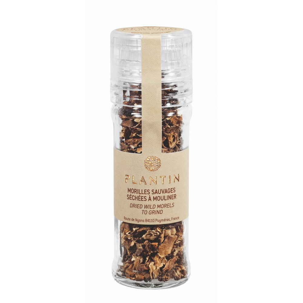 PLANTIN MOULIN DE MORILLES - 21 G
