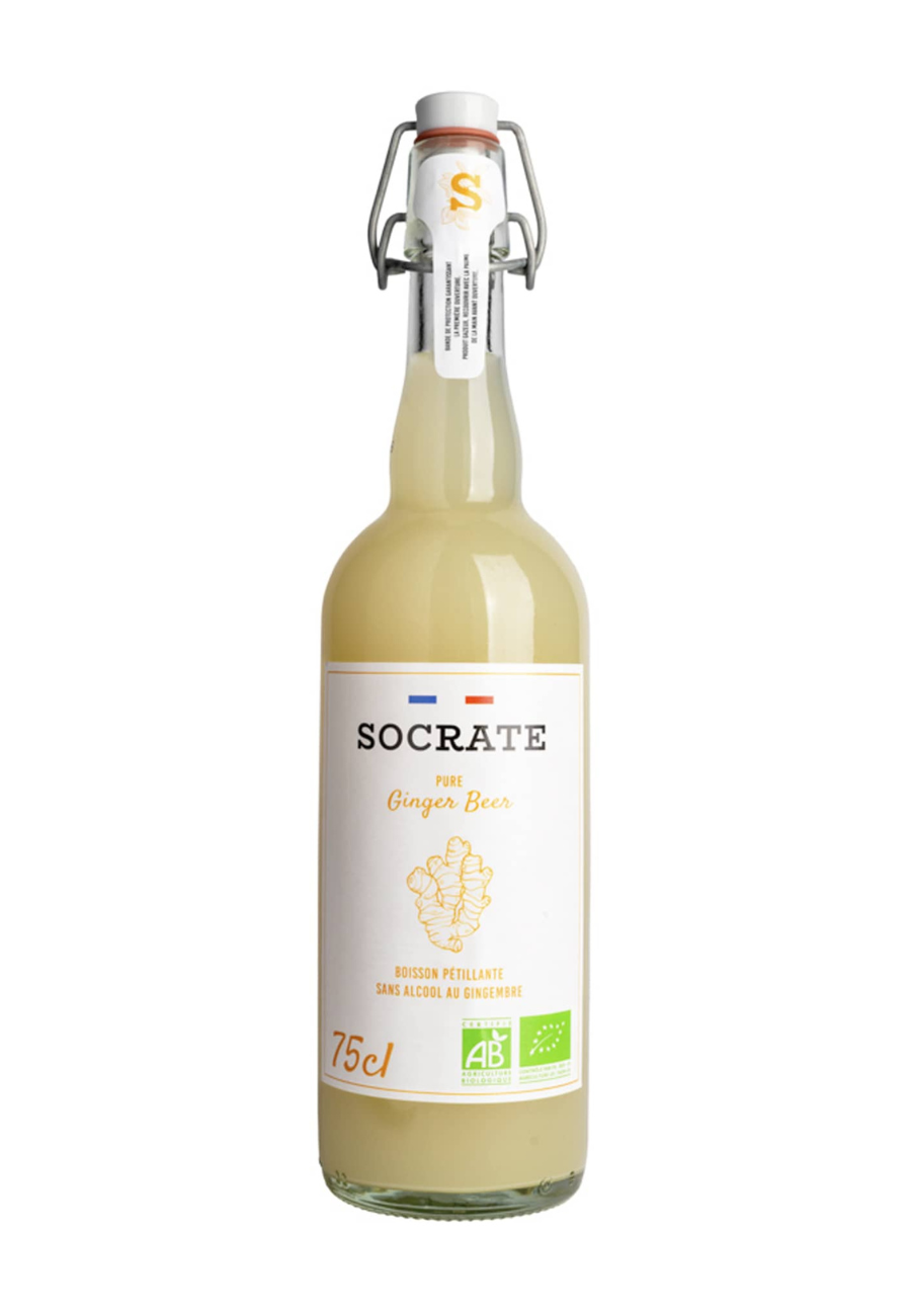 Socrate Ginger Beer - 75 cl