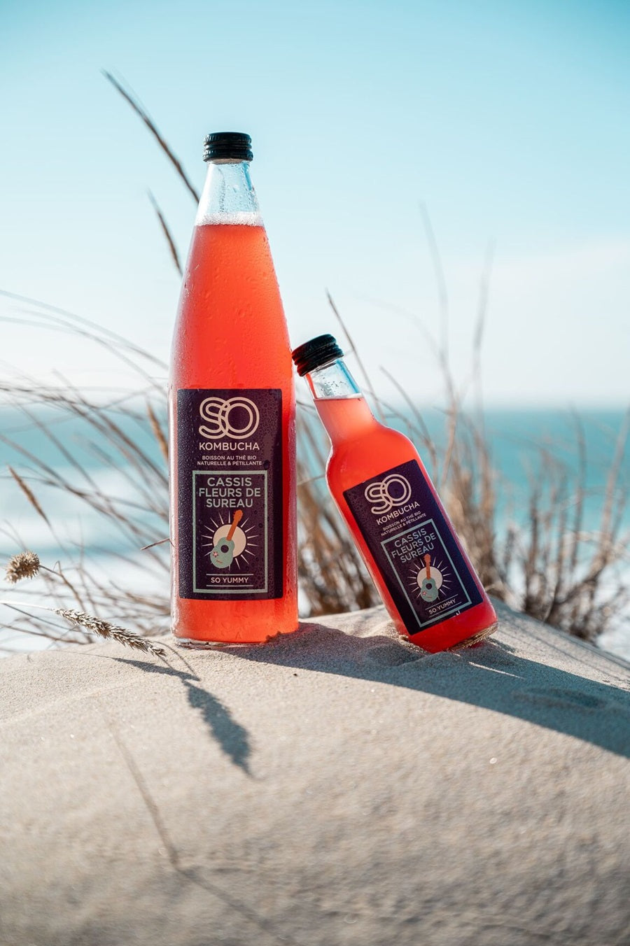 So kombucha cassis Fleur de Sureau - 75 cl